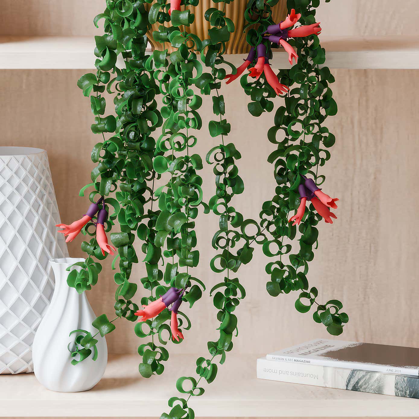 Beards & Daisies Trailing Aeschynanthus Rasta House Plant in Elho Pot