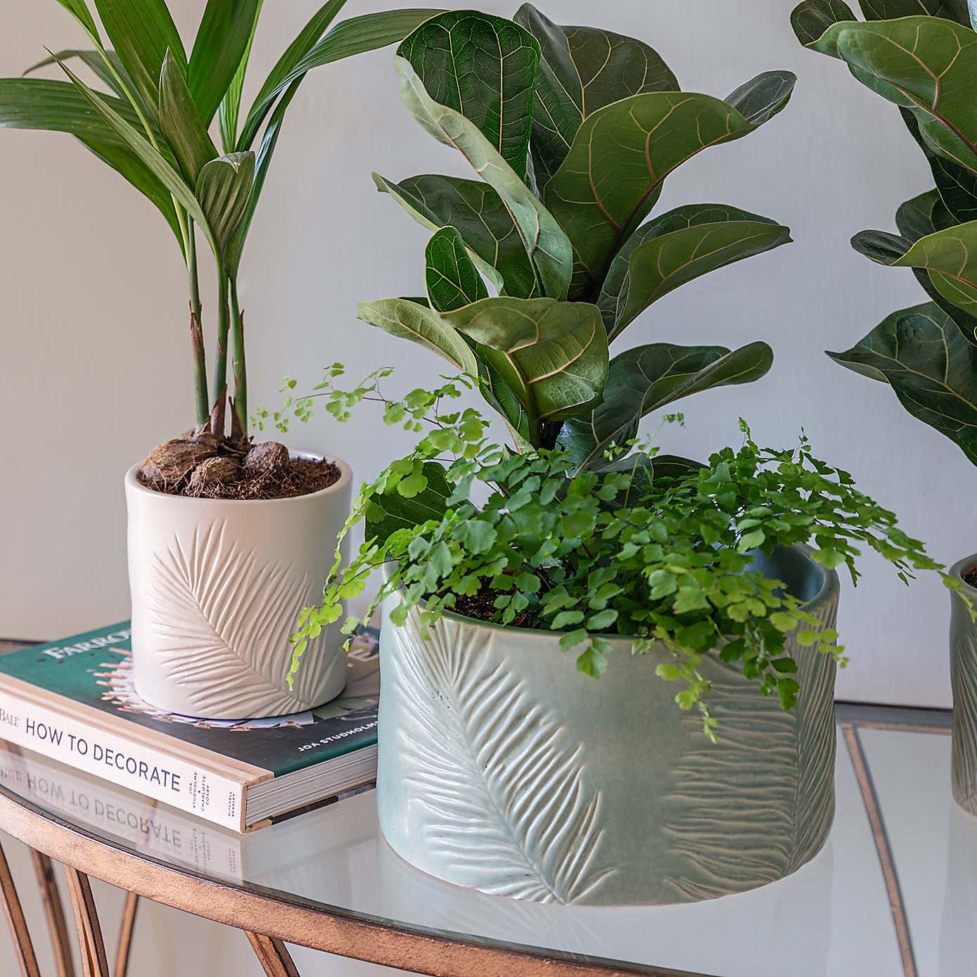 Kew Stoneware Sago Palm Bowl Planter
