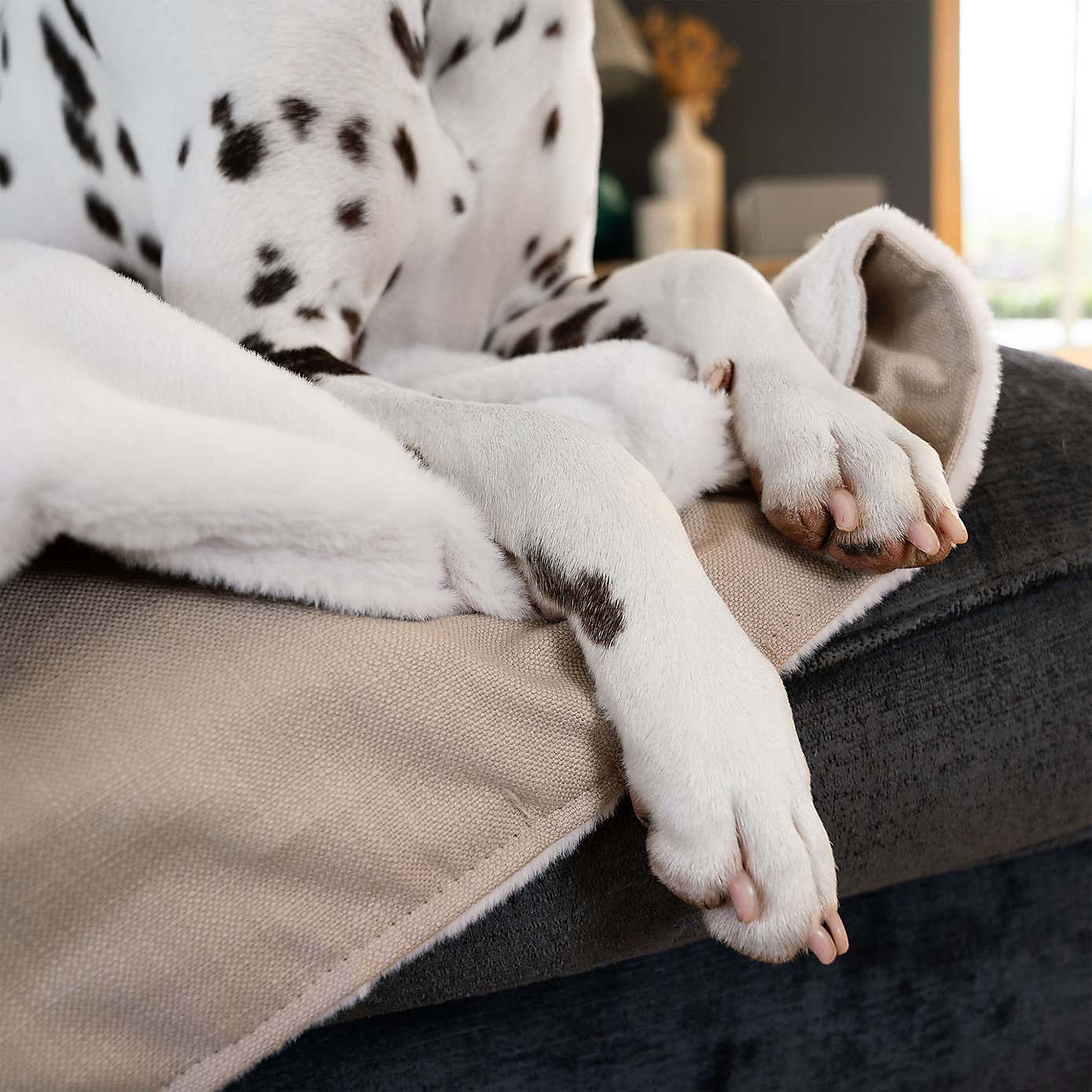 Lords and Labradors Savanna Dog Blanket