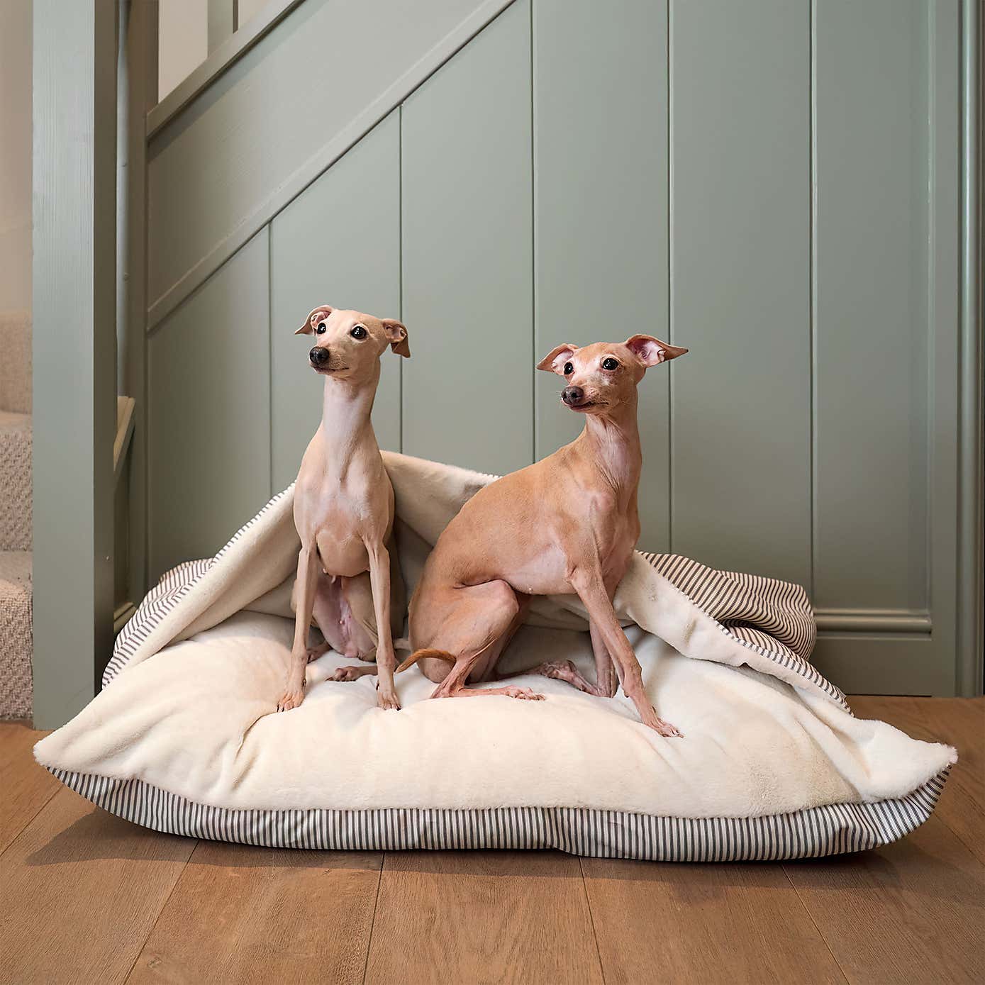 Lords and Labradors Sriped Burrow Dog Bed