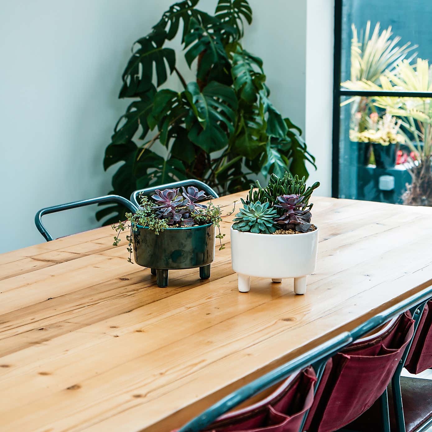 Pisa Plant Bowl