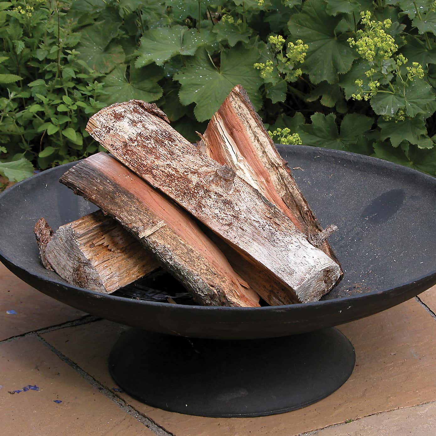 Fallen Fruits Low Cast Iron Fire Bowl