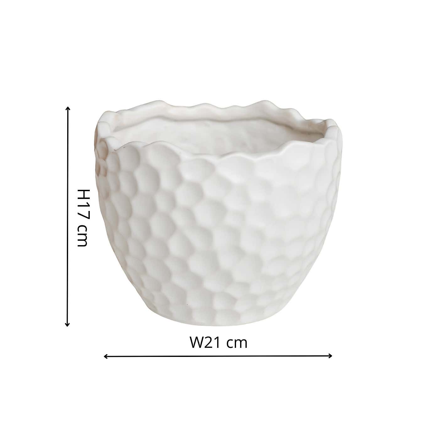 Kew Botanical White Textured Planter