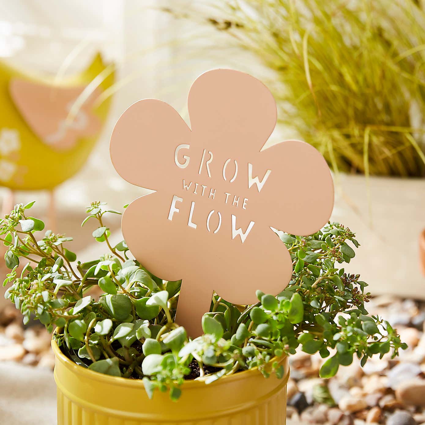 Iron Pink Flower Grow with the Flow Stake