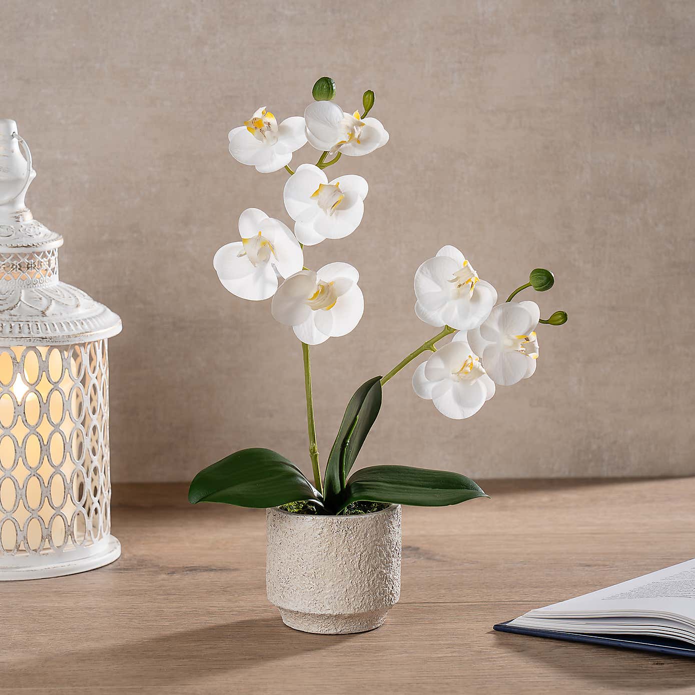 Artificial Real Touch Mini Phalaenopsis Orchid in Cement Pot