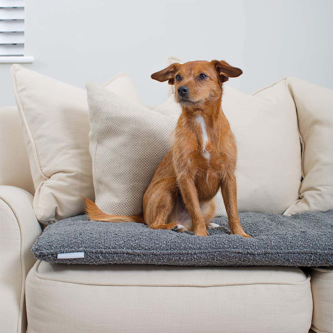 Lords and Labradors Boucle Pet Sofa Topper