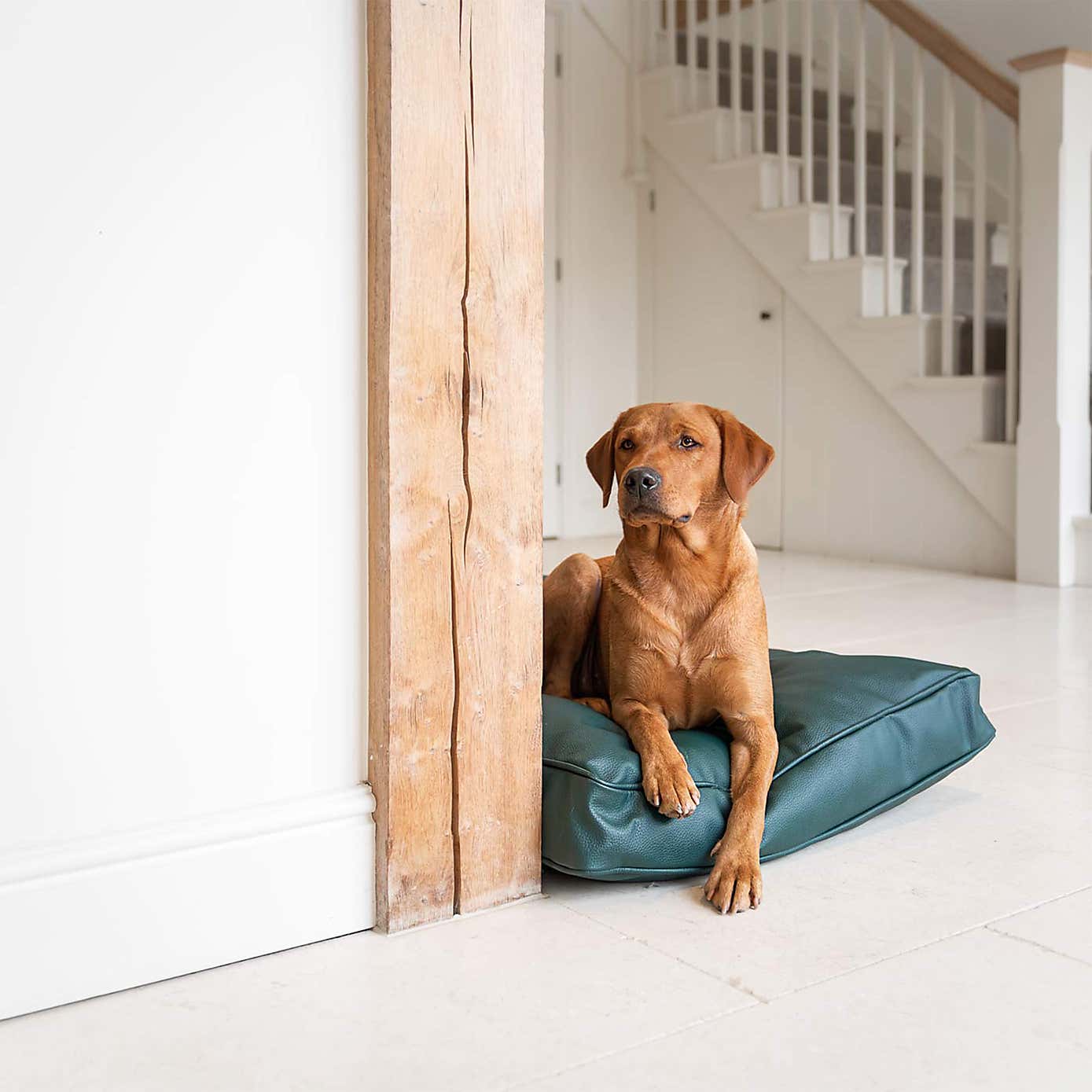 Lords and Labradors Rhino Leather Dog Cushion with Handles