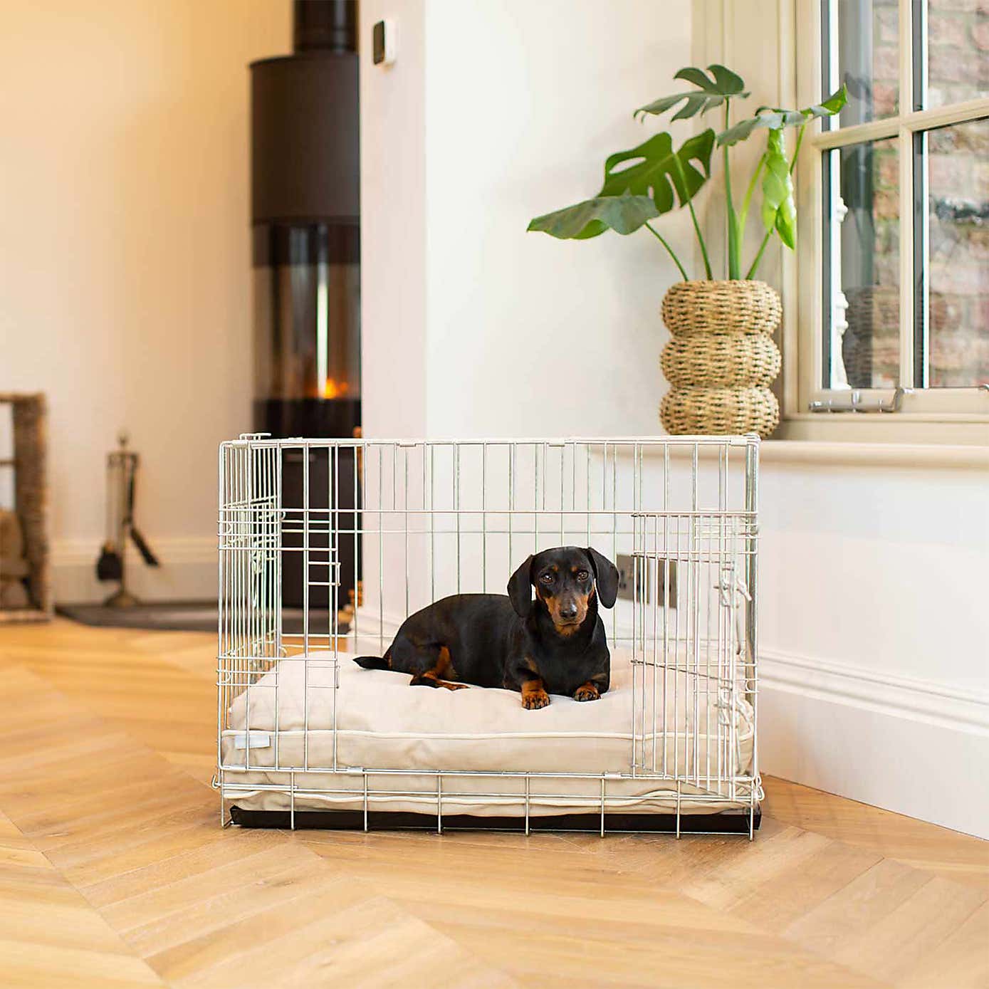 Lords and Labradors Savanna Dog Cushion