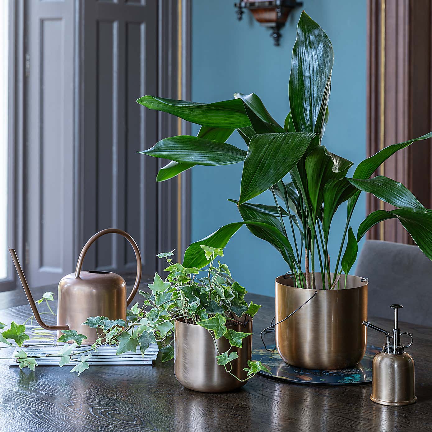 Kew Matt Brass Plant Mister 14cm