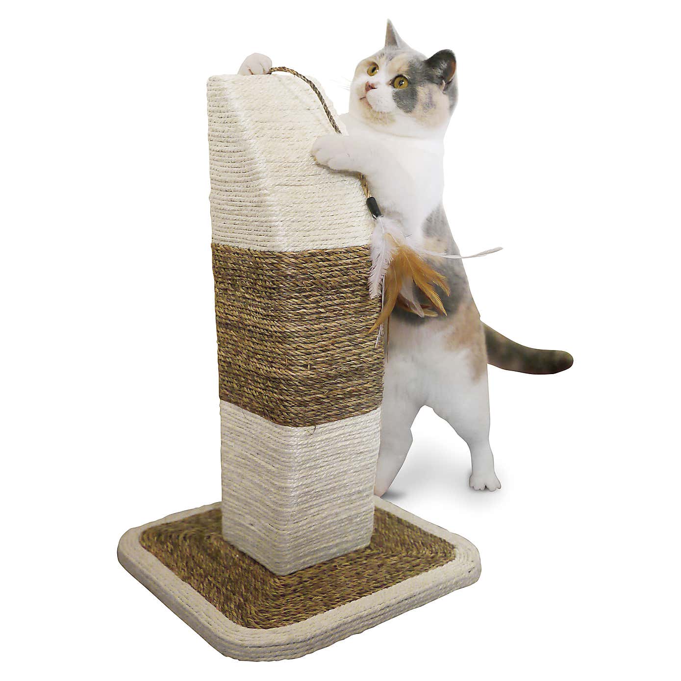Rosewood Rimini Cat Post