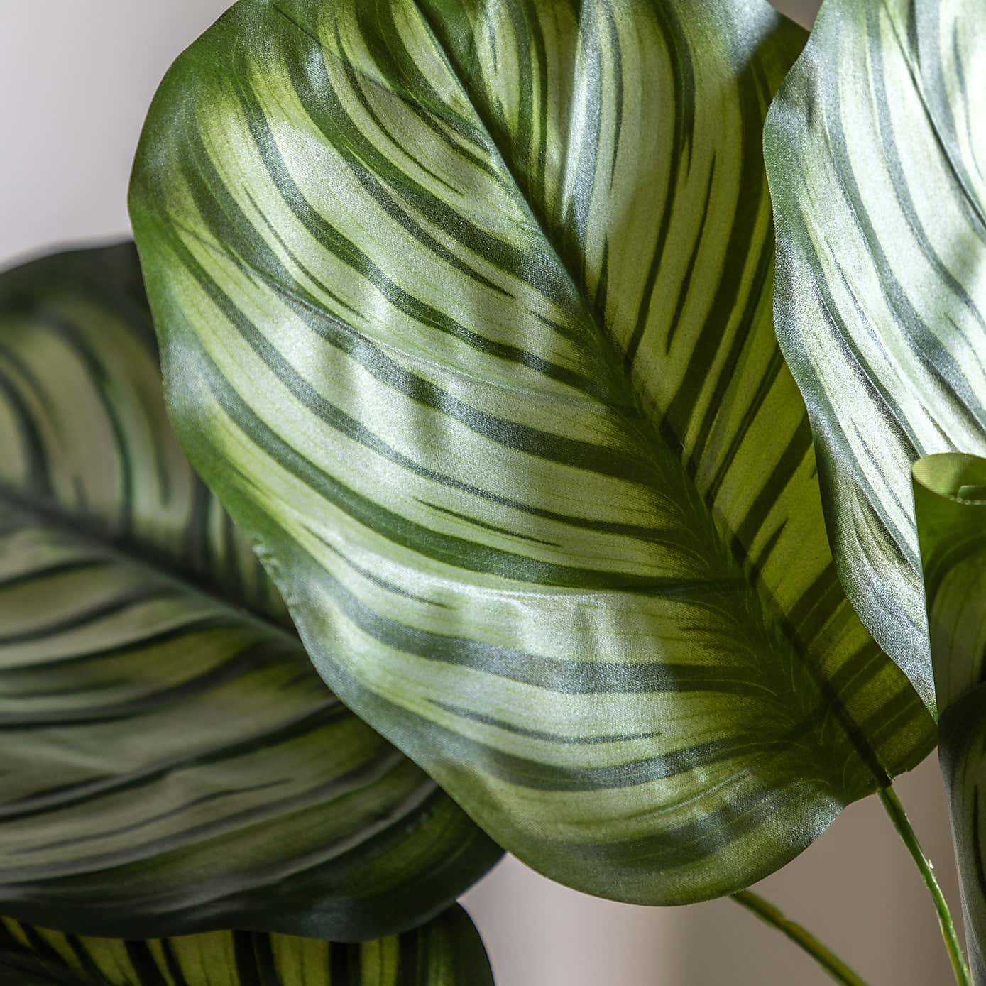 Artificial Small Calathea Leaf Tree in Black Plant Pot