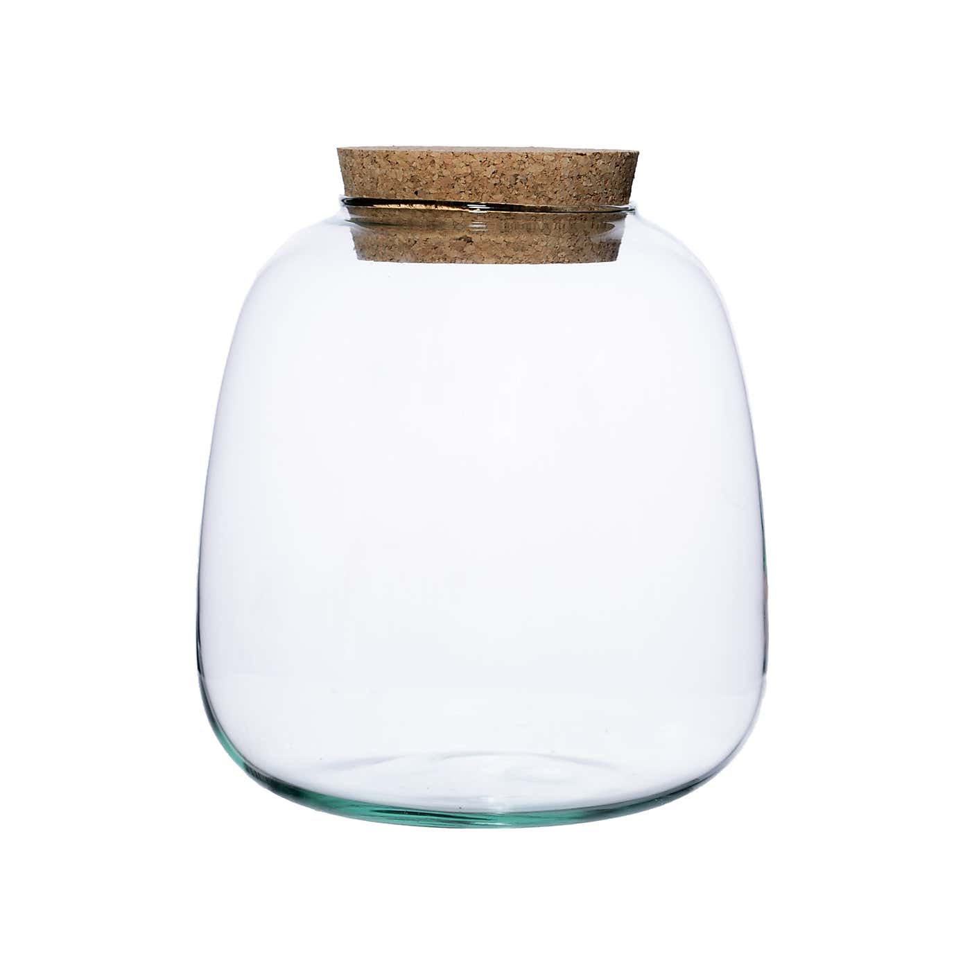 Bowl Shape Medium Terrarium DIY Kit