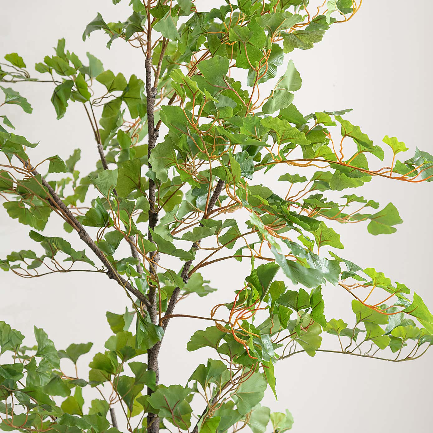Artificial Ginkgo Tree in black Plant Pot
