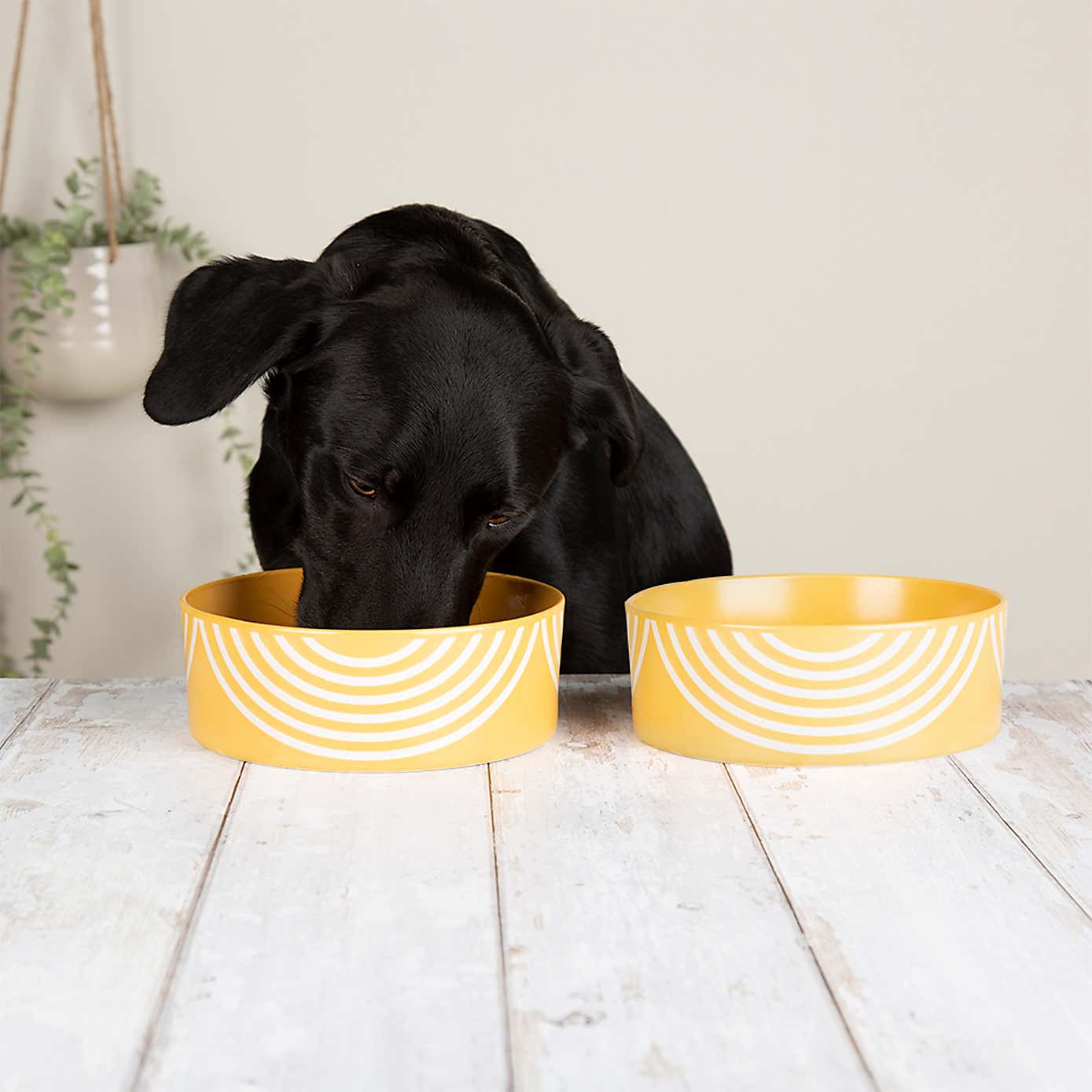 Set of 2 Scruffs Aztec Bowl Set