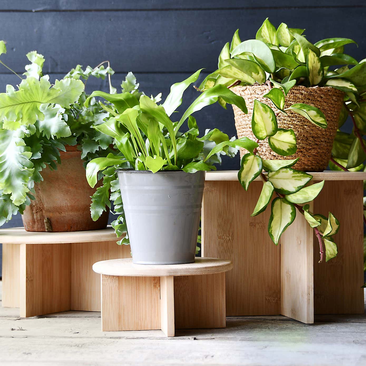 Fallen Fruits Bamboo Plant Stand