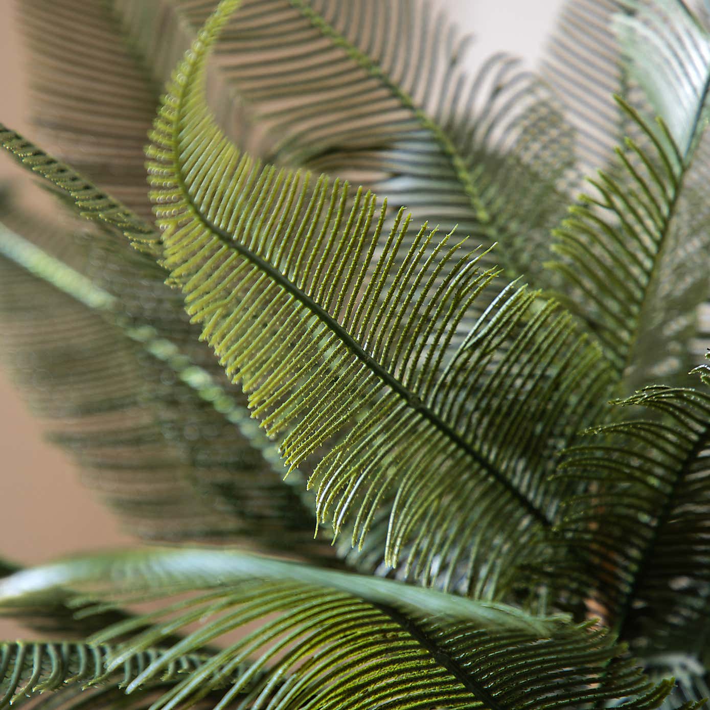 Artificial Wide Fern in Concrete Pot