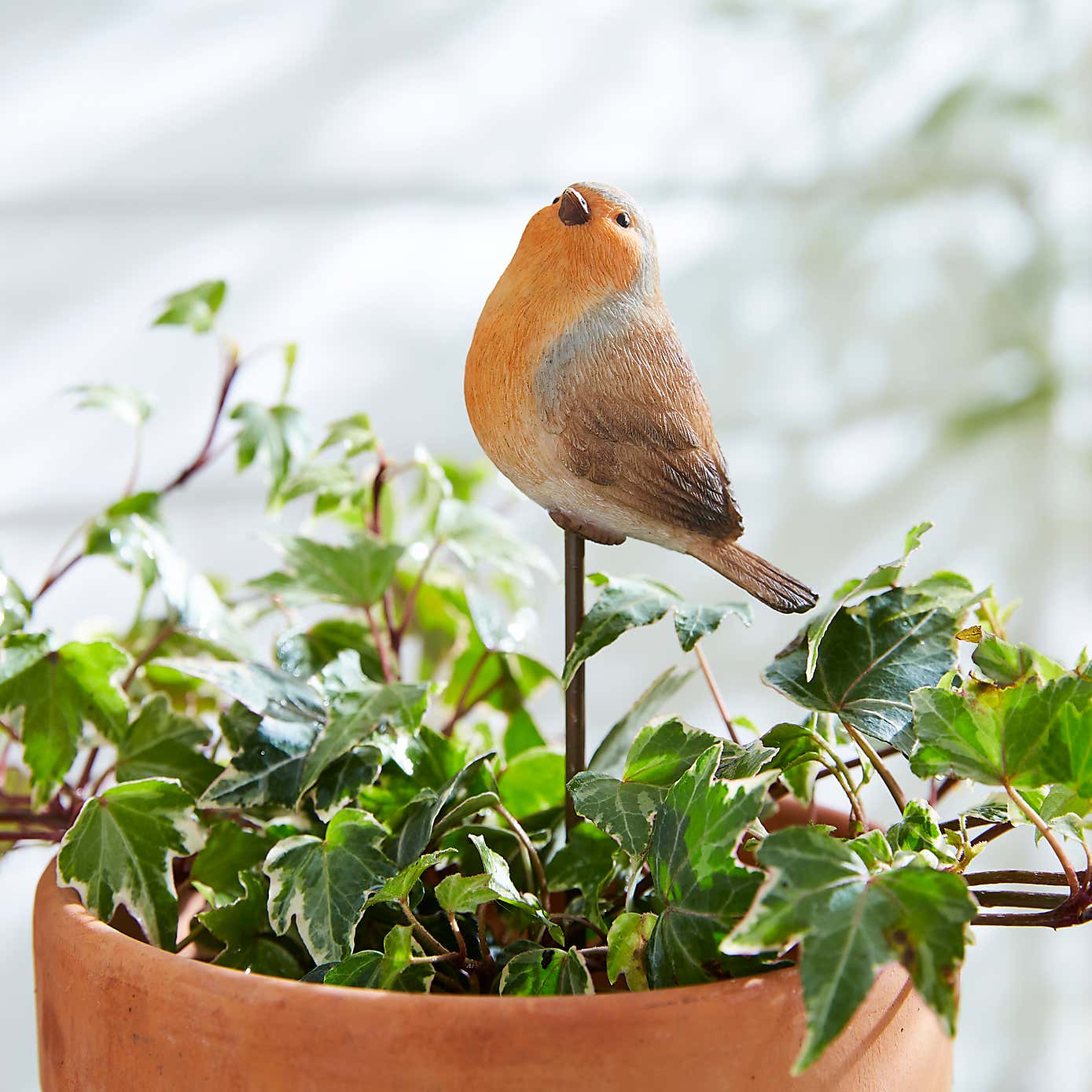 Robin Garden Stake