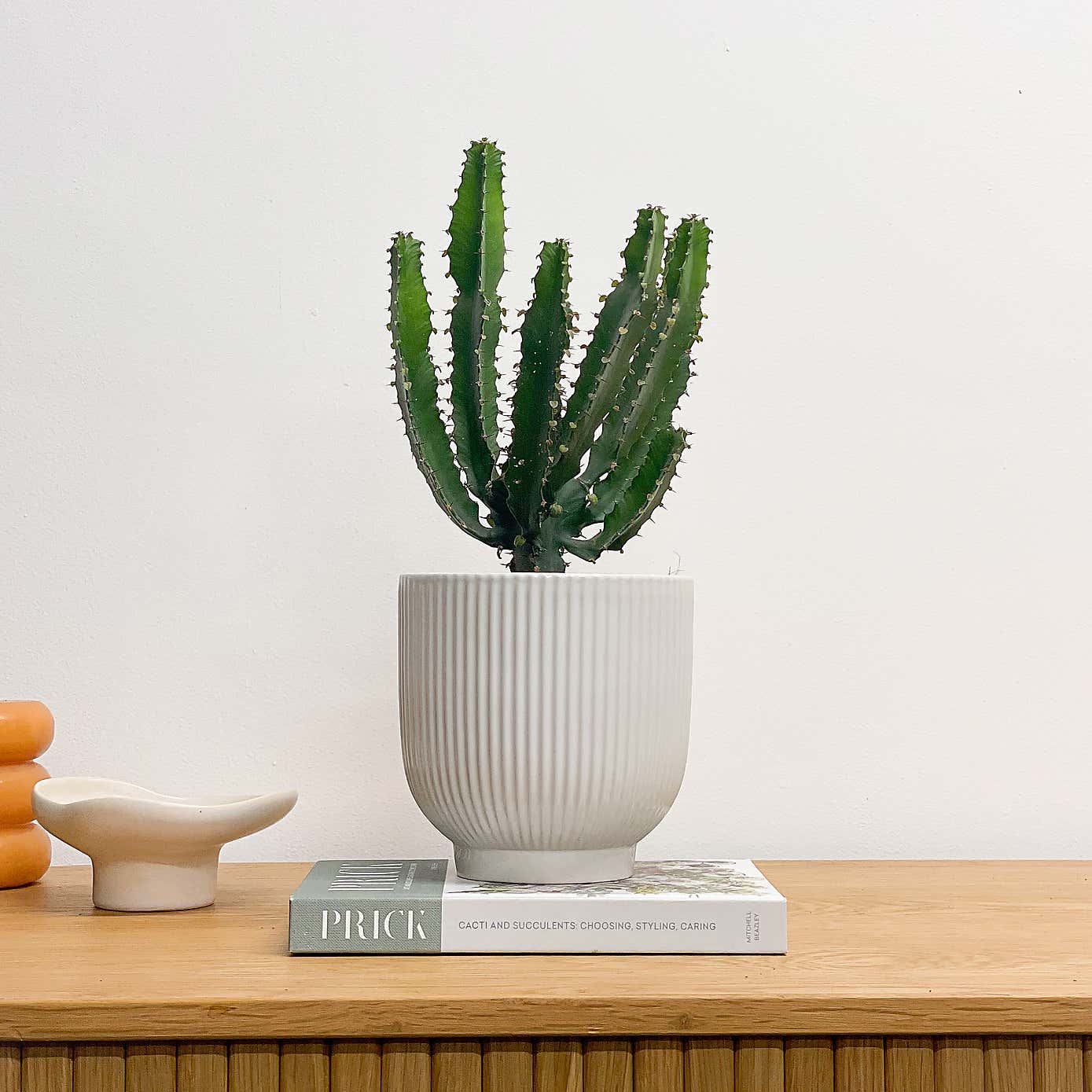 Beards and Daisies Ribbed Ceramic Plant Pot