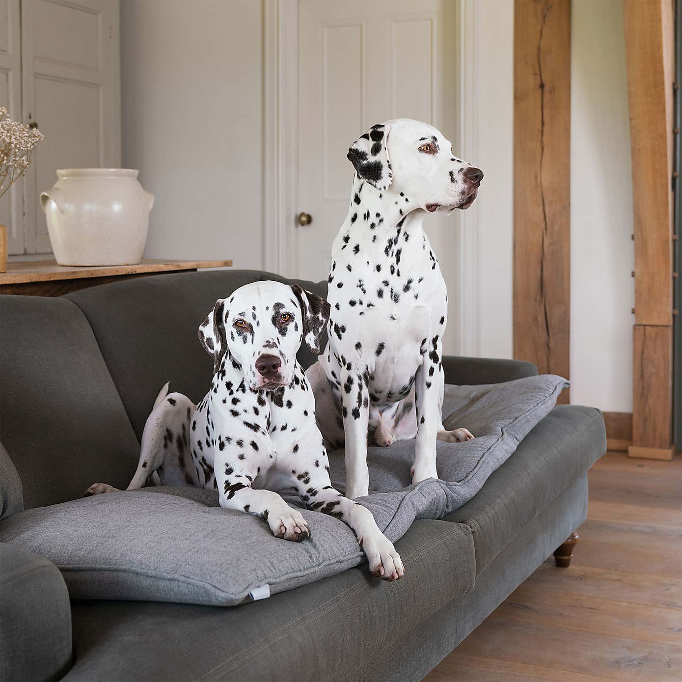 Lords and Labradors Inchmurrin Pet Sofa Topper