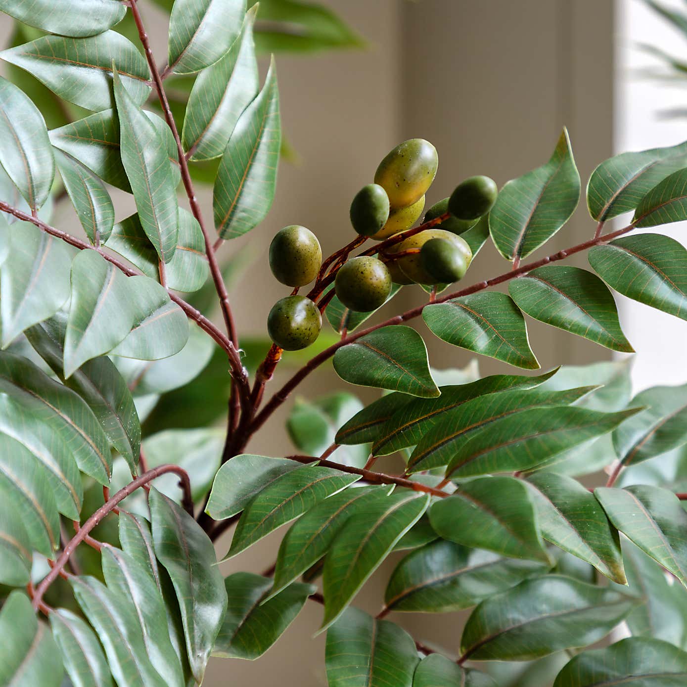 Artificial Medium Chinese White Olive Tree in Black Plant Pot