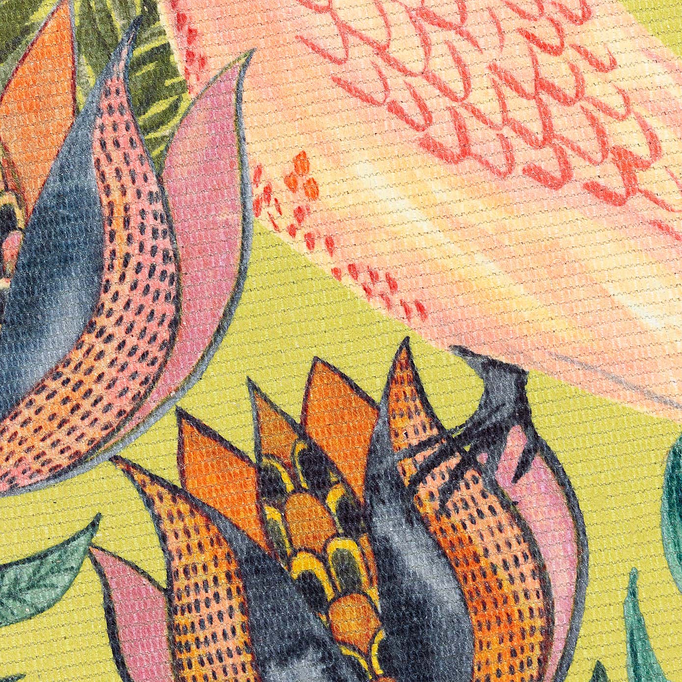 Wylder Cockatoo Indoor Outdoor Rug