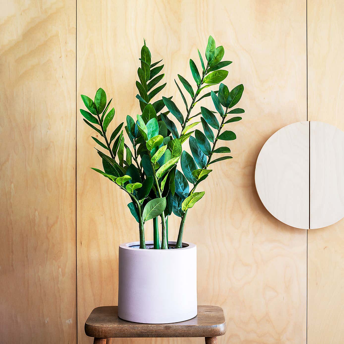 Artificial ZZ Plant 70cm