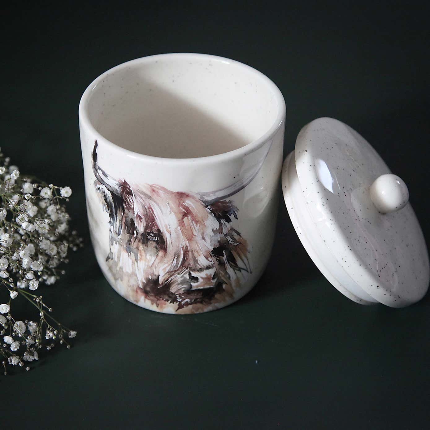 Meg Hawkins Highland Cow Storage Canister