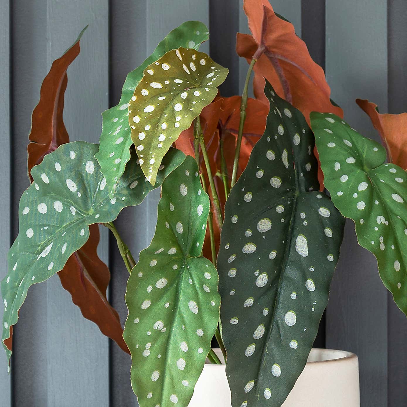 Artificial Polka Dot Begonia