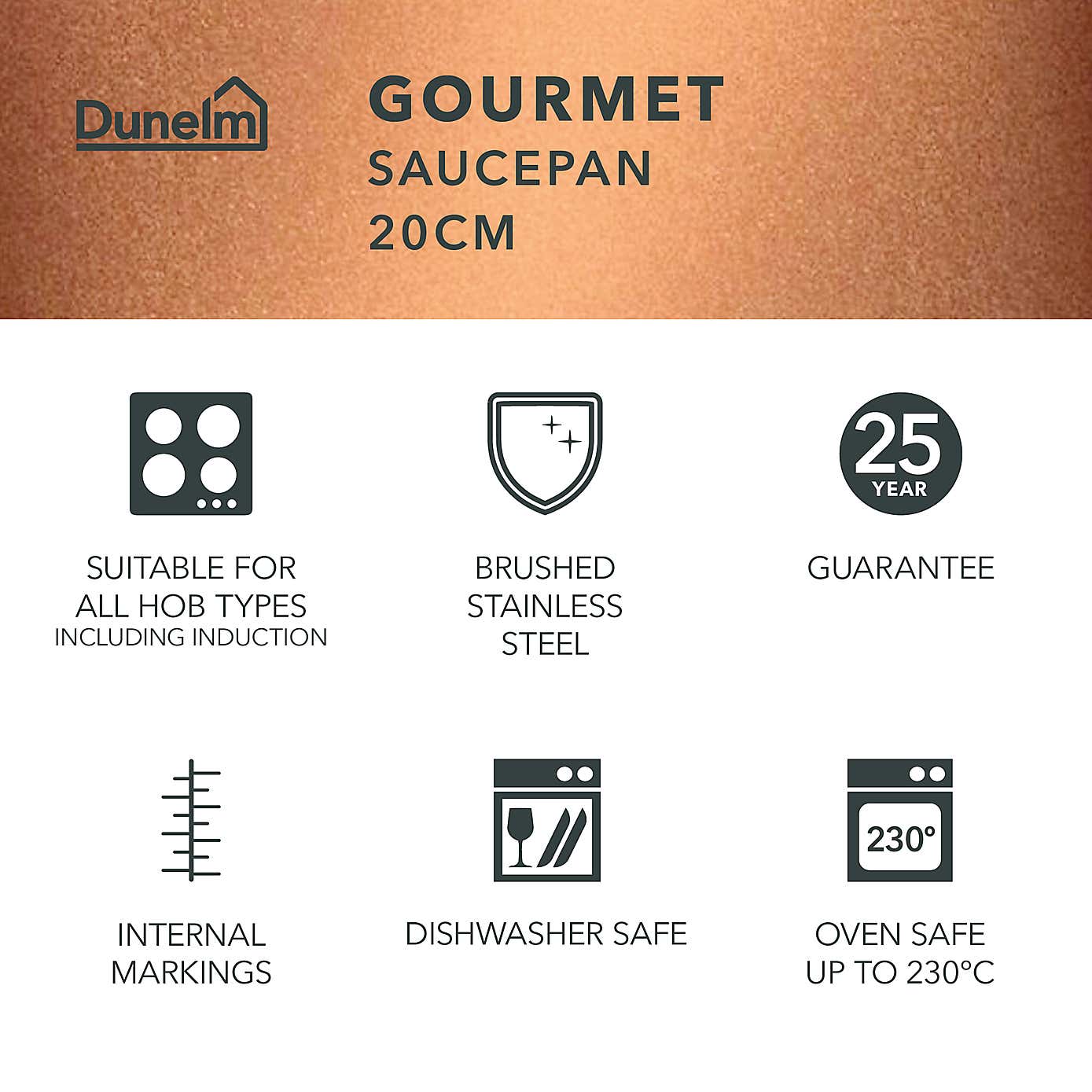 Gourmet Stainless Steel Saucepan, 20cm