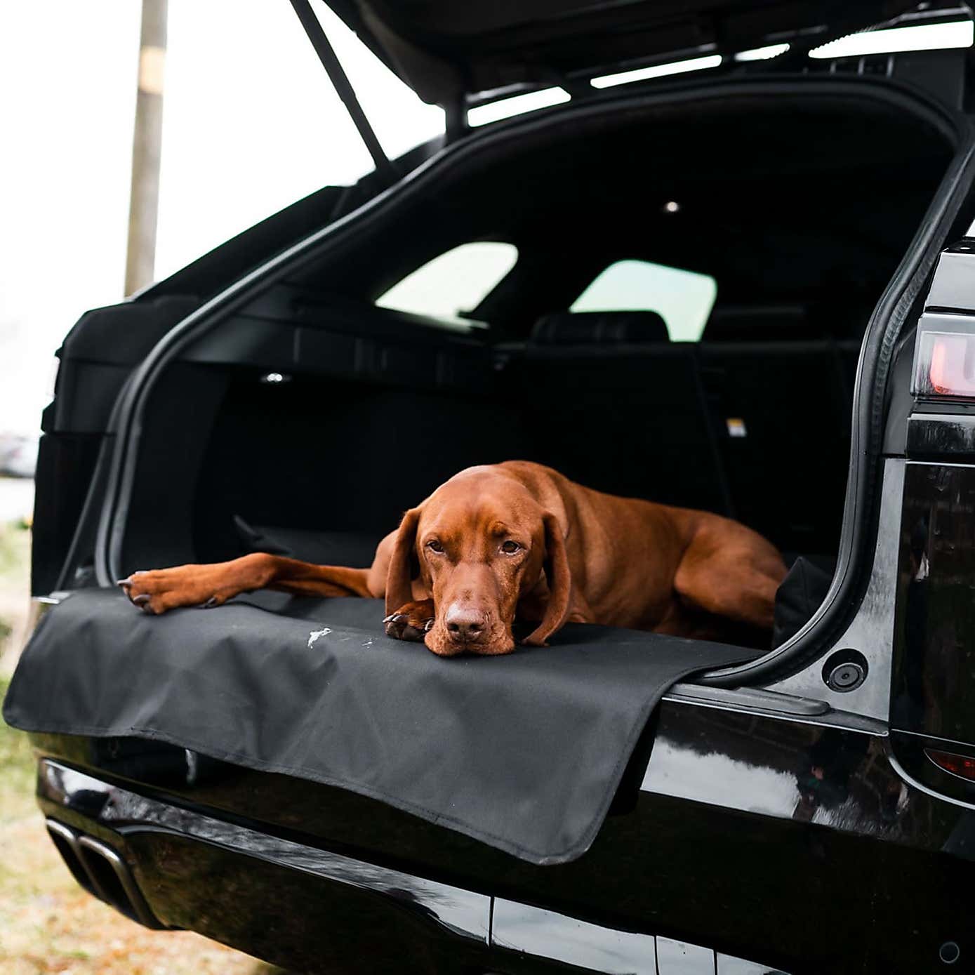 Danish Design Car Boot Dog Bed
