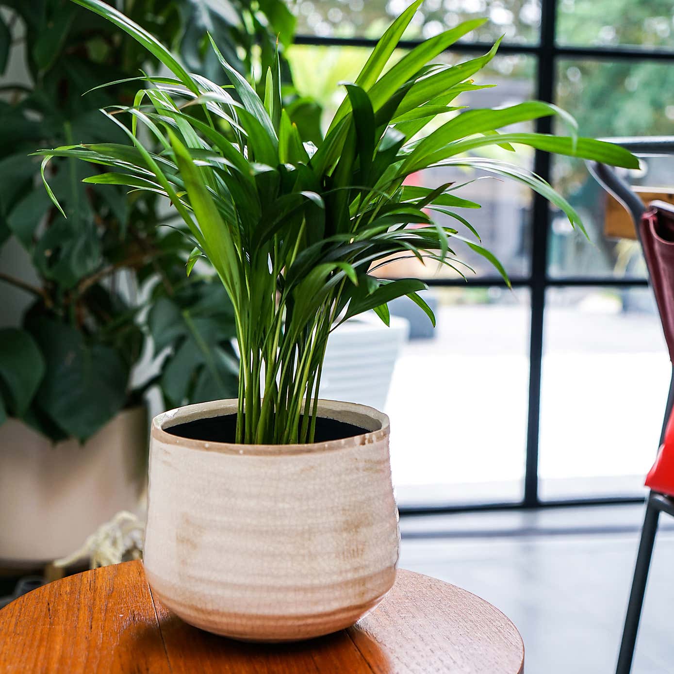 Como Plant Pot