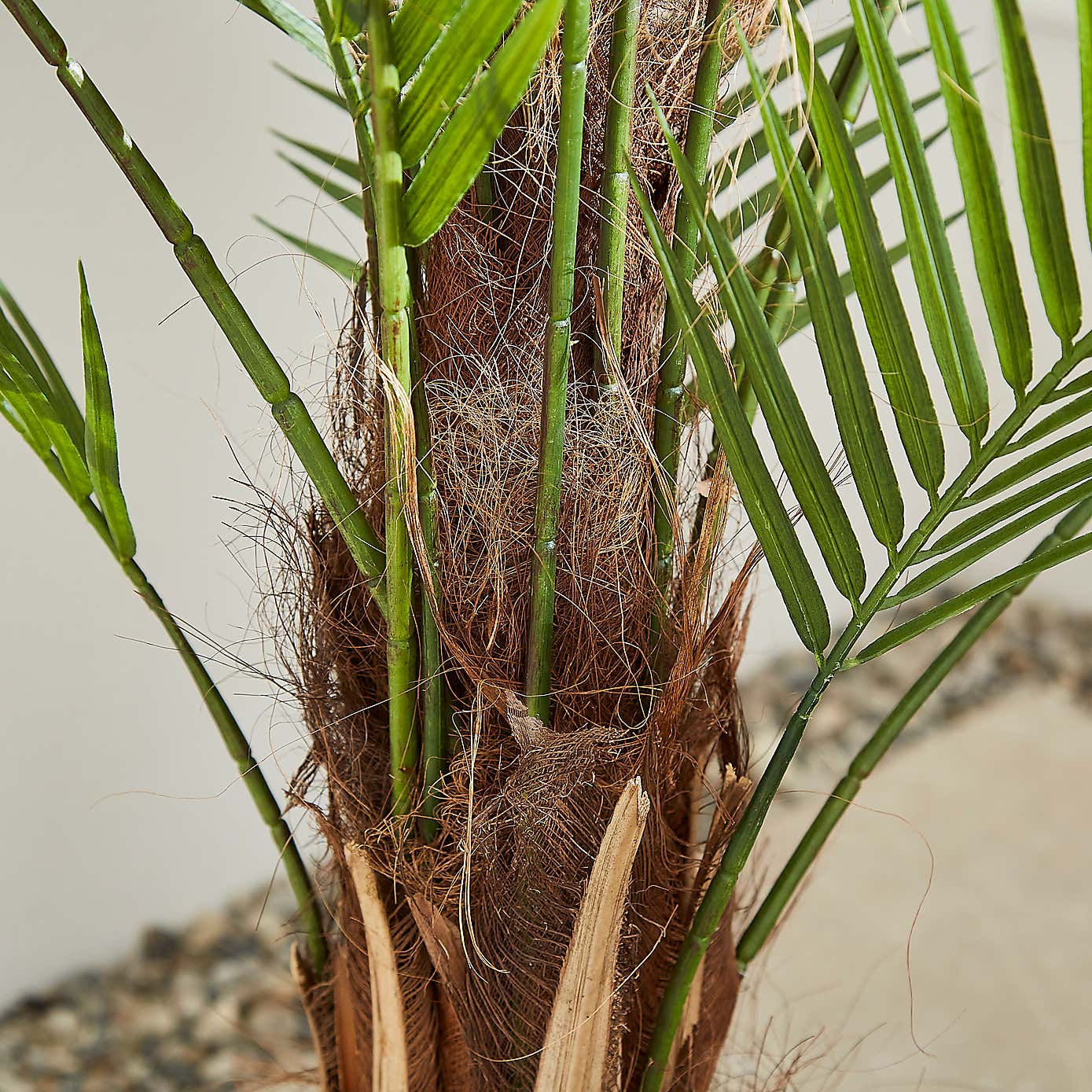 Palm Tree 150cm