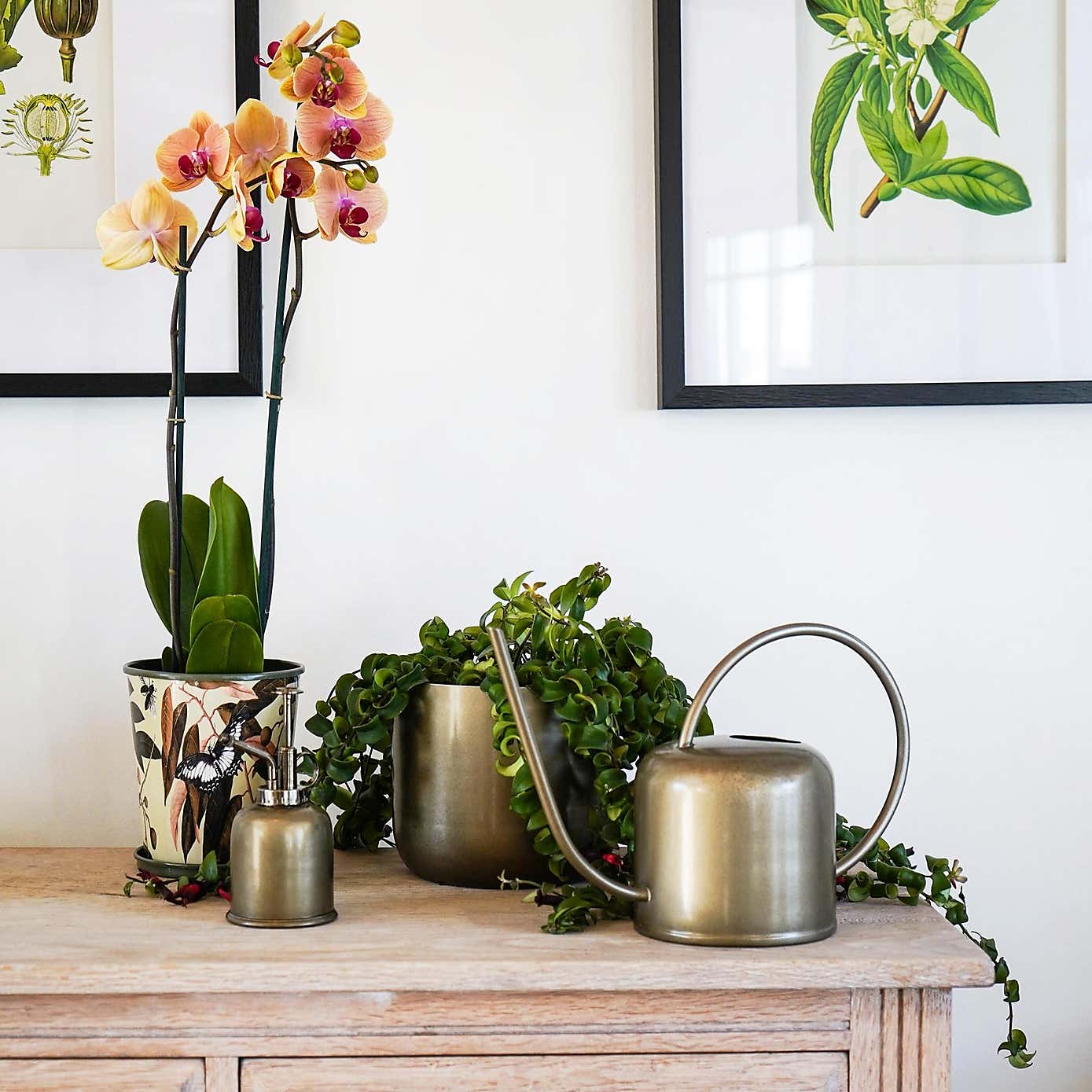 Kew Matt Brass Watering Can 19cm