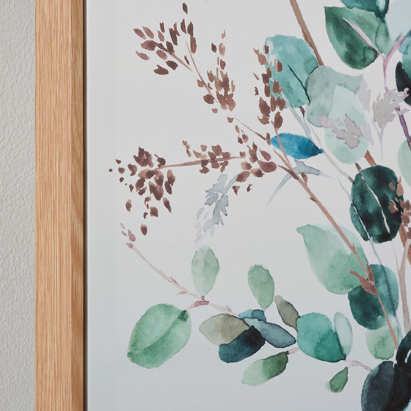 Eucalyptus Capped Canvas